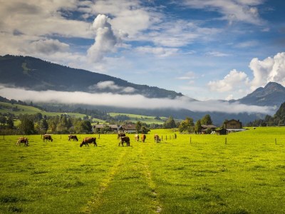 Apartment Enzian - Outdoor photo 49