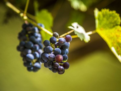 Apartment Enzian - Outdoor photo 53