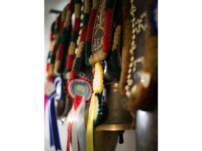 Apartment Enzian - Outdoor photo 64