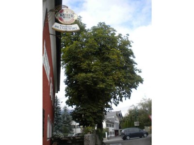 Apartment Appartement "Almblick groß" - Outdoor photo 4