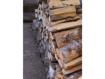 Apartment Apartment Boudewijn - Outdoor photo 12