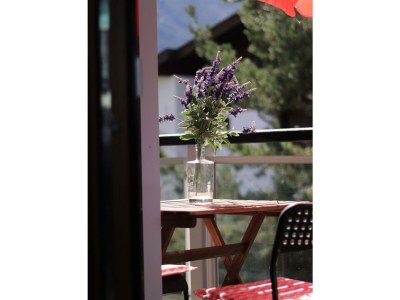 Apartment Apartment Boudewijn - Outdoor photo 13