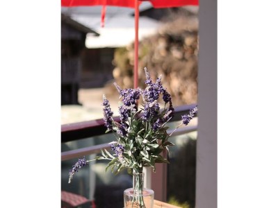 Apartment Apartment Boudewijn - Outdoor photo 14