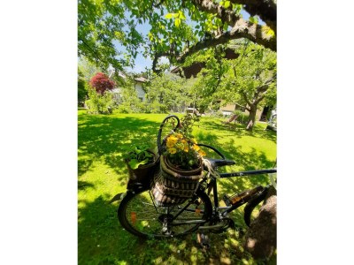 Apartment Wohlfühl Appartement - Outdoor photo 14