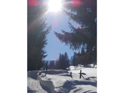 Apartment Wohlfühl Appartement - Outdoor photo 18