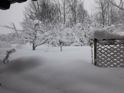 Apartment Wohlfühl Appartement - Outdoor photo 27