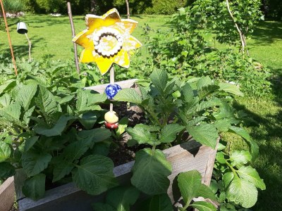 Apartment Wohlfühl Appartement - Outdoor photo 29