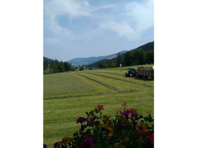 Holiday room Einzelzimmer, Dusche, WC - Outdoor photo 15