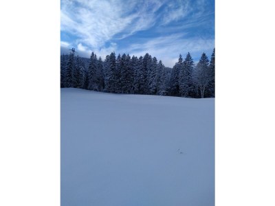 Holiday room Einzelzimmer, Dusche, WC - Outdoor photo 17