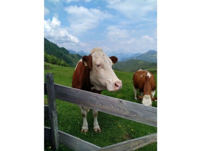 Holiday room Einzelzimmer, Dusche, WC - Outdoor photo 19