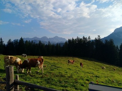 Holiday room Einzelzimmer, Dusche, WC - Outdoor photo 20