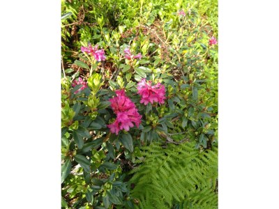 Holiday room Einzelzimmer, Dusche, WC - Outdoor photo 26