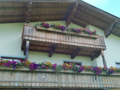 Holiday room Einzelzimmer, Dusche, WC - Outdoor photo 27