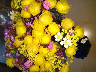 Holiday room Einzelzimmer, Dusche, WC - Outdoor photo 30