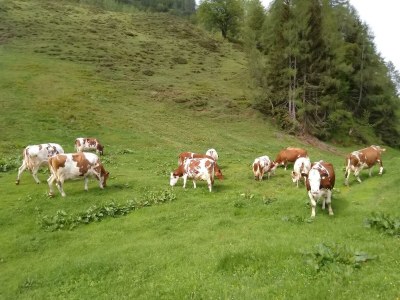 Holiday room Einzelzimmer, Dusche, WC - Outdoor photo 34