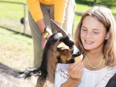 Apartment Apartment/2 Schlafräume/Bad, WC - Outdoor photo 7