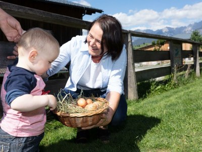 Apartment Apartment/2 Schlafräume/Bad, WC - Outdoor photo 17