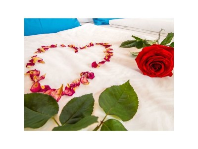 Apartment Appartment/2 Schlafräume/Bad, WC - Outdoor photo 23