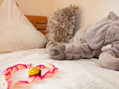 Apartment Appartment/2 Schlafräume/Bad, WC - Features photo 28