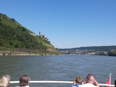 Holiday house "Haus am Wald" (Loreley) - Environment photo 19