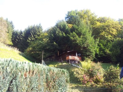 Holiday house "Haus am Wald" (Loreley) - Environment photo 20