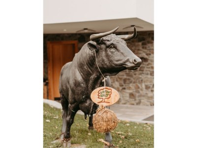 Apartment Appartement Bauernleben - Outdoor photo 13