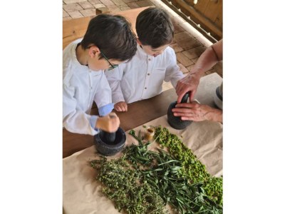 Apartment Appartement Bauernleben - Outdoor photo 15