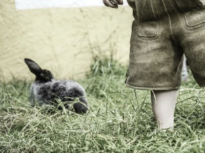 Apartment Appartement Bauernleben - Outdoor photo 22