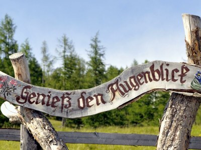 Holiday room Dreibettzimmer mit Dusche, WC  Nr. 3 - Outdoor photo 4