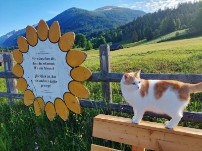 Holiday room Dreibettzimmer mit Dusche, WC  Nr. 3 - Outdoor photo 8