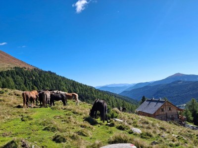 Holiday room Dreibettzimmer mit Dusche, WC  Nr. 3 - Outdoor photo 12