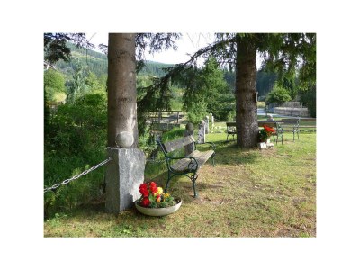 Apartment Apartment Hirschensprung mit 3 Schlafzimmer - Outdoor photo 31