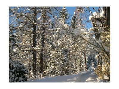 Apartment Apartment Hirschensprung mit 3 Schlafzimmer - Outdoor photo 32