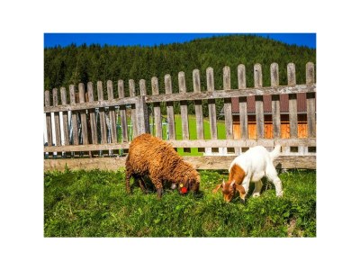 Apartment Apartment 5 - Outdoor photo 39