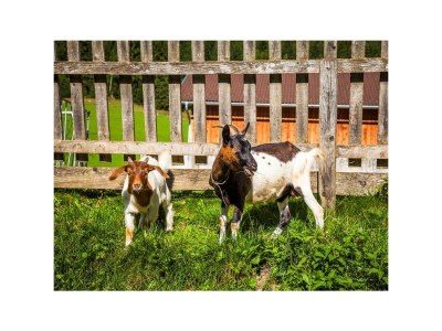 Apartment Apartment 5 - Outdoor photo 40