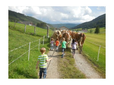 Apartment Apartment 5 - Outdoor photo 47