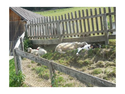 Apartment Apartment 5 - Outdoor photo 48