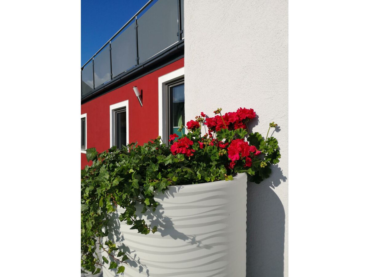 Holiday room Appartement/Fewo, Dusche und Bad, WC, 1 Schlafraum - Outdoor photo 3