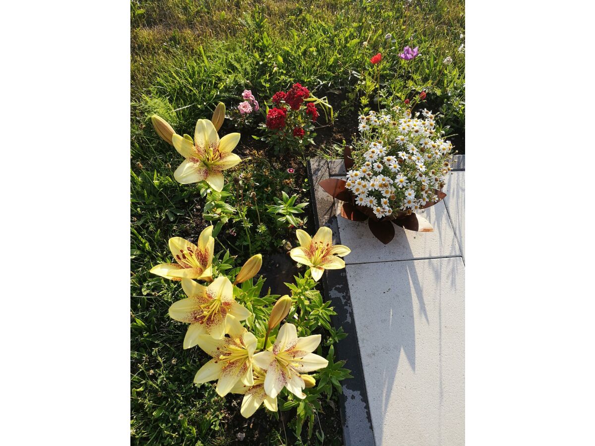 Holiday room Appartement/Fewo, Dusche und Bad, WC, 1 Schlafraum - Outdoor photo 4