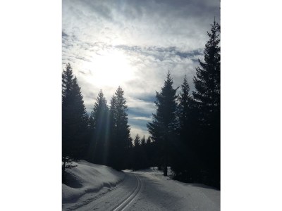 Holiday room Appartement/Fewo, Dusche und Bad, WC, 1 Schlafraum - Outdoor photo 29