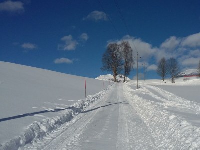 Holiday room Appartement/Fewo, Dusche und Bad, WC, 1 Schlafraum - Outdoor photo 31