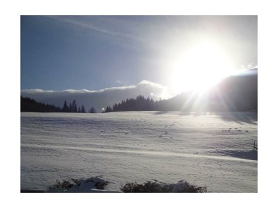 Apartment Appartement/Fewo, Dusche, WC, 1 Schlafraum - Outdoor photo 26