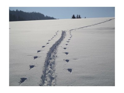 Apartment Appartement/Fewo, Dusche, WC, 1 Schlafraum - Outdoor photo 39