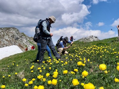 Apartment Appartement/Fewo, Dusche, WC, 3 Schlafräume - Outdoor photo 17