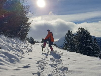 Apartment Appartement/Fewo, Dusche, WC, 3 Schlafräume - Outdoor photo 19