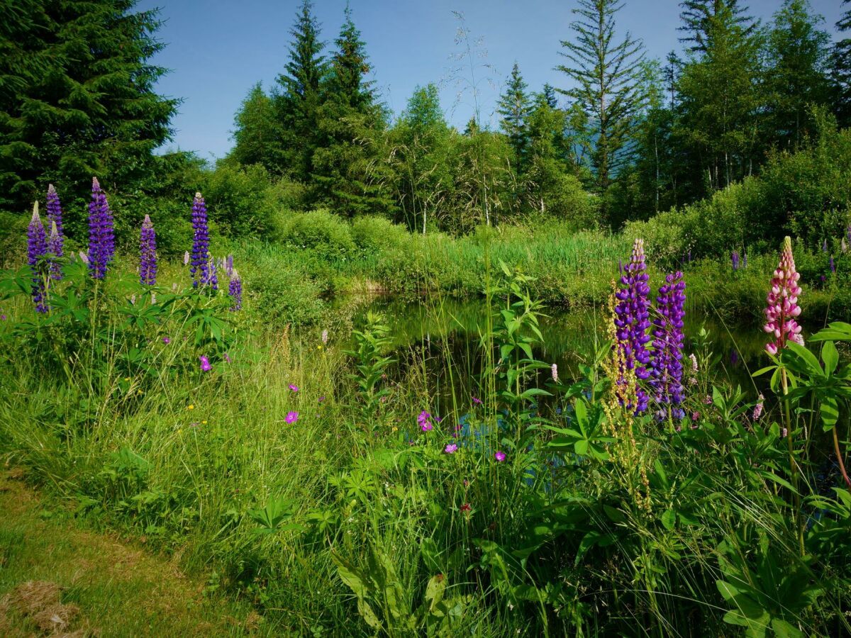Apartment Ferienhaus - Outdoor photo 5
