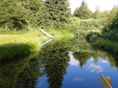 Apartment Ferienhaus - Outdoor photo 4