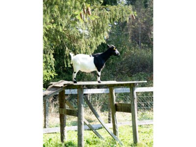 Apartment Ferienhaus - Outdoor photo 11