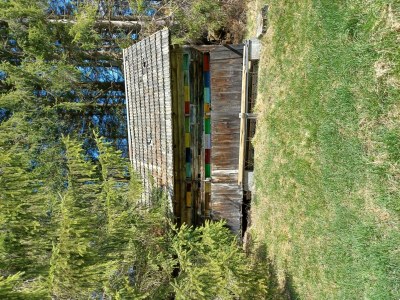 Apartment Ferienhaus - Outdoor photo 12