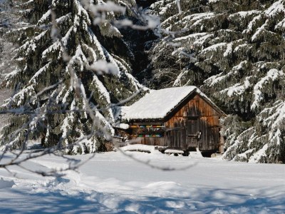 Apartment Ferienhaus - Outdoor photo 27